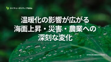 温暖化の影響が広がる：海面上昇・災害・農業への深刻な変化