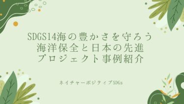 SDGs14の海の豊かさを守ろう：海洋保全と日本の先進プロジェクト
