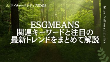 ESGmeans：国際的視点で読み解くESGの本質