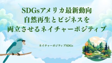 SDGsアメリカ最新動向：自然再生とビジネスを両立させるネイチャーポジティブ